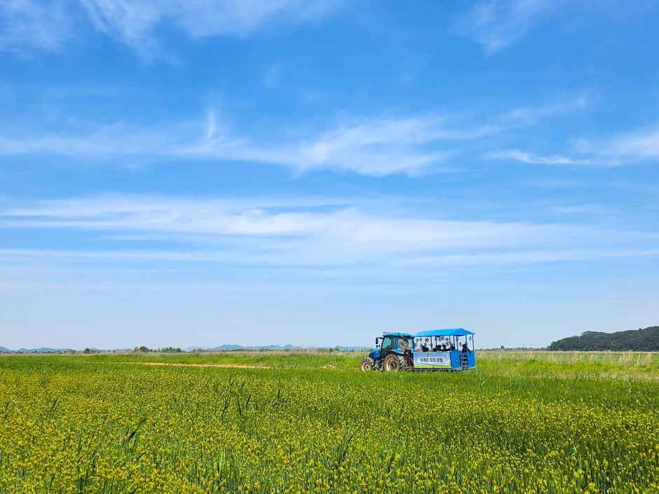2026 진봉새만금보리밭축제 (5).jpg