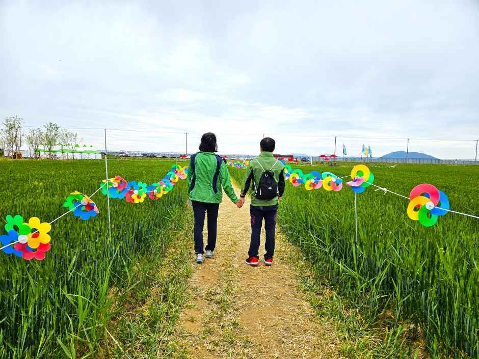 2026 진봉새만금보리밭축제 (1).jpg