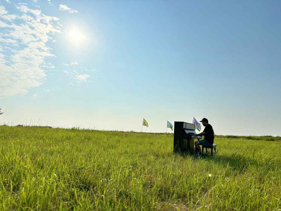 2026 진봉새만금보리밭축제 (8).jpeg