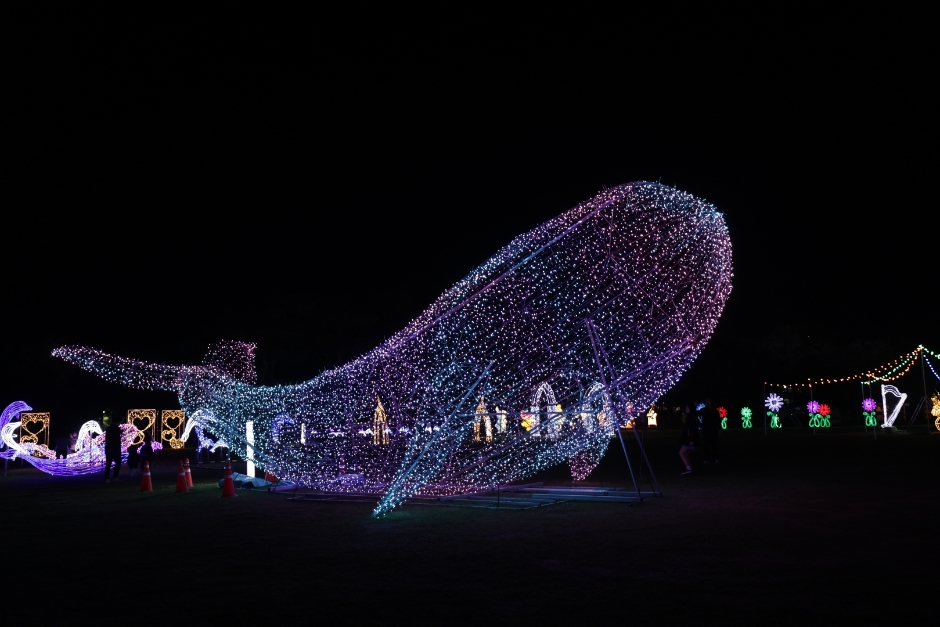 Daedeok Water Light Festival