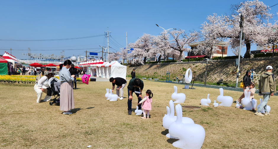 2024 정읍 벚꽃축제 4