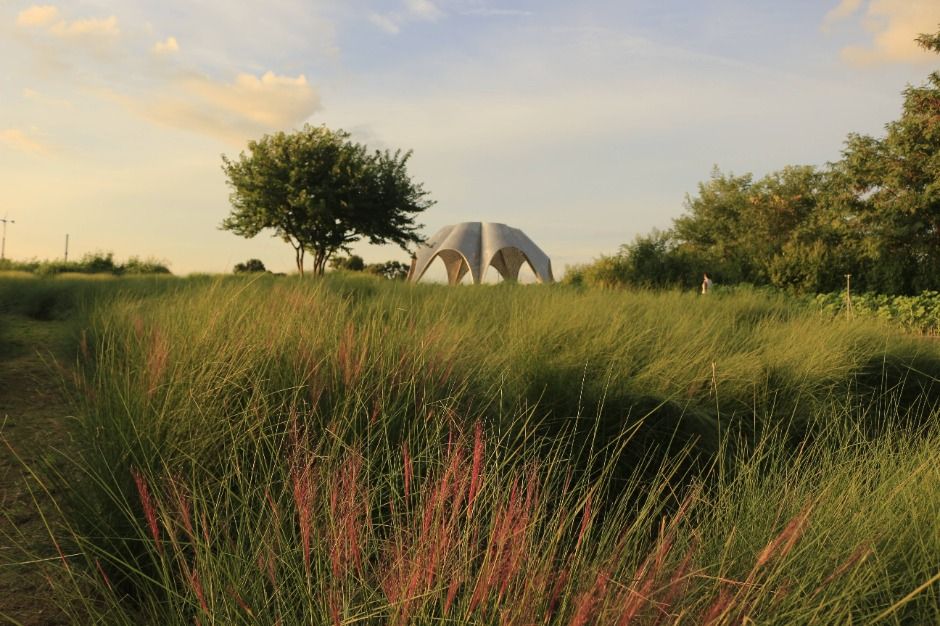 2025 서울억새축제 2