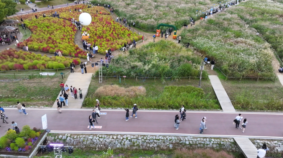 2025 서울억새축제 5