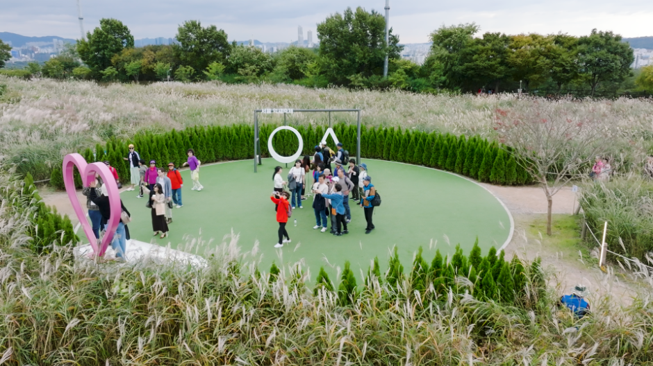 2025 서울억새축제 8