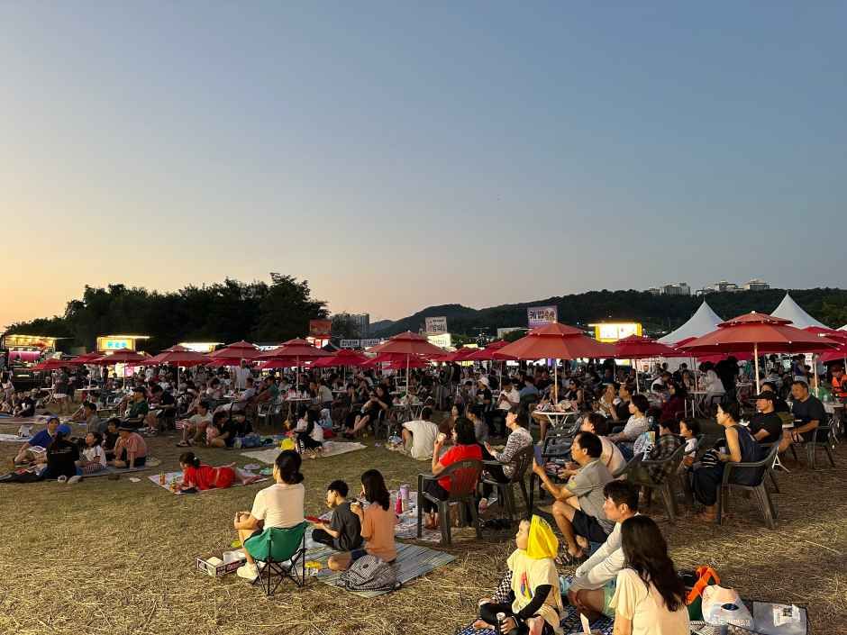 2026 송도해변축제 (10).JPG