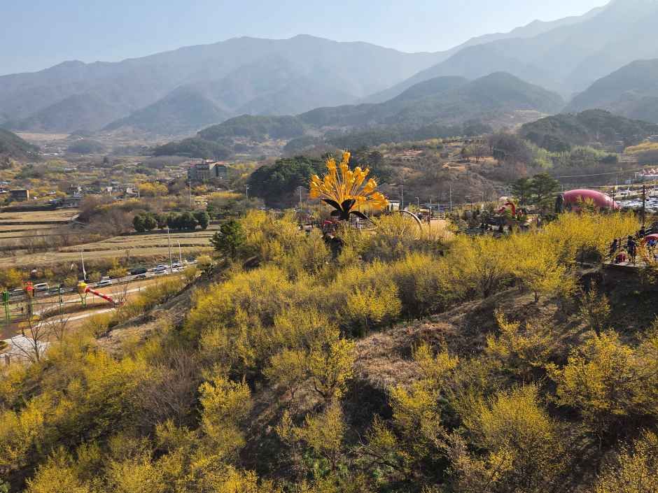 2026 구례산수유꽃축제  (3).jpg