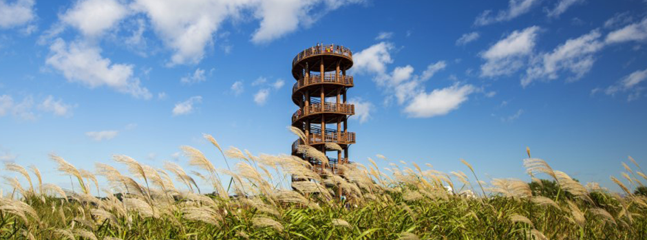 2025 시흥갯골축제 배경이미지