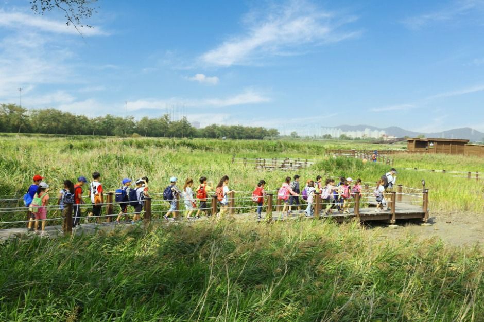 2025 시흥갯골축제 9