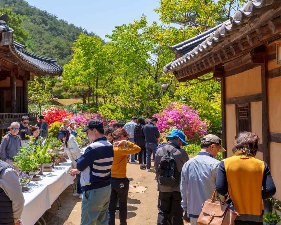 2026 영주 한국선비문화축제 6