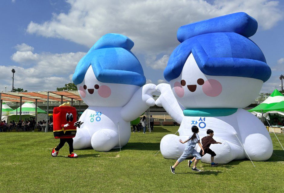 2026 장성 황룡강 가을꽃축제 총정리|10월 8~11일 나흘·맥주파티는 선착순 500명이고 9월 28일부터 접수예요·폐막공연은 YB·행정통합 뒤 첫 회차라 주소 표기가 바뀌었어요 2 장성 황룡강 가을꽃축제 현장 사진