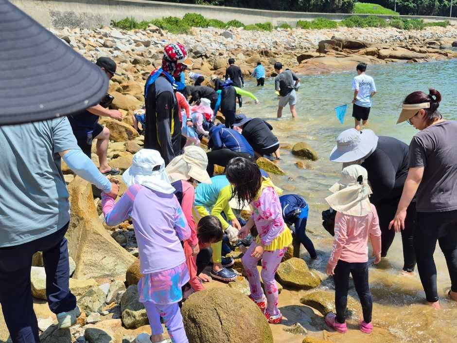 거문도백도 은빛바다체험행사 포스터 · 광주 축제