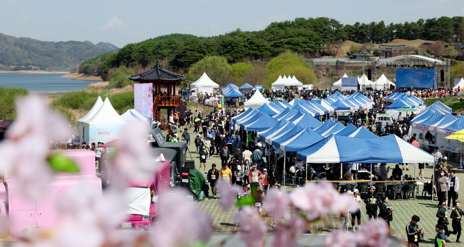 2024 대청호 벚꽃축제 이미지 4