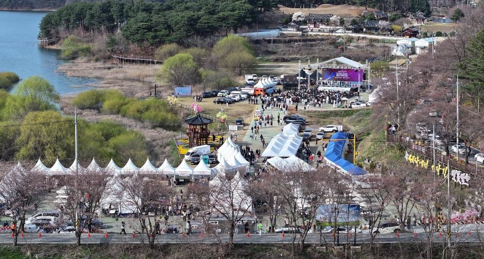 2025 대청호 벚꽃 축제 4