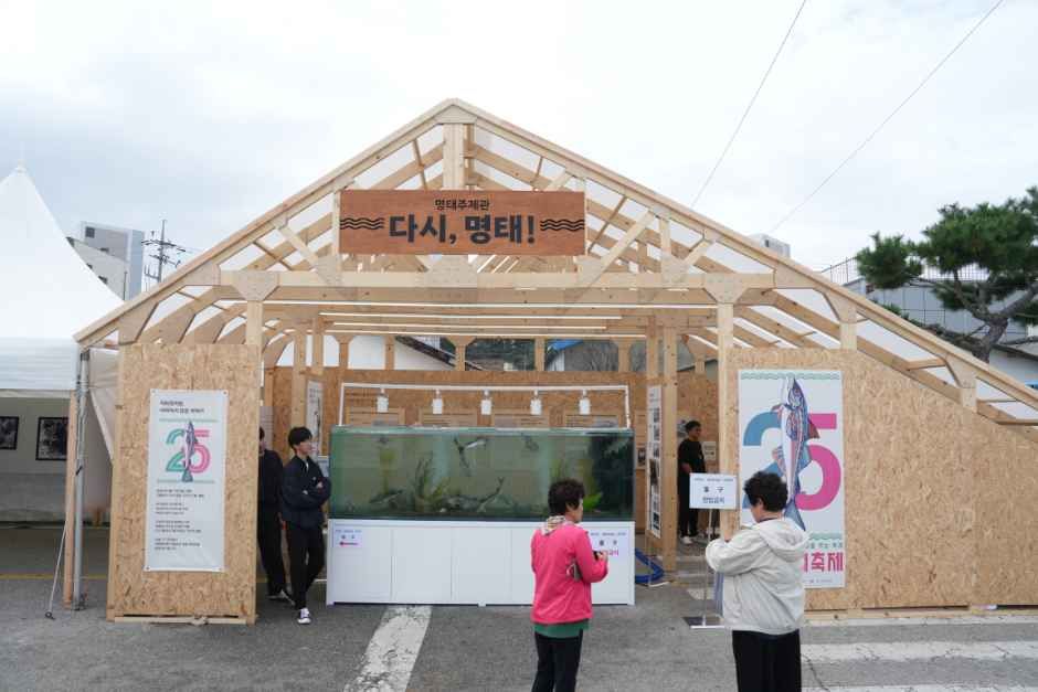 2026 고성명태축제 (9).JPG