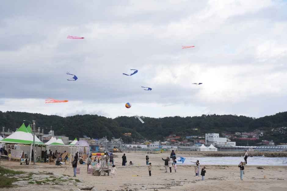 2026 고성명태축제 (7).JPG
