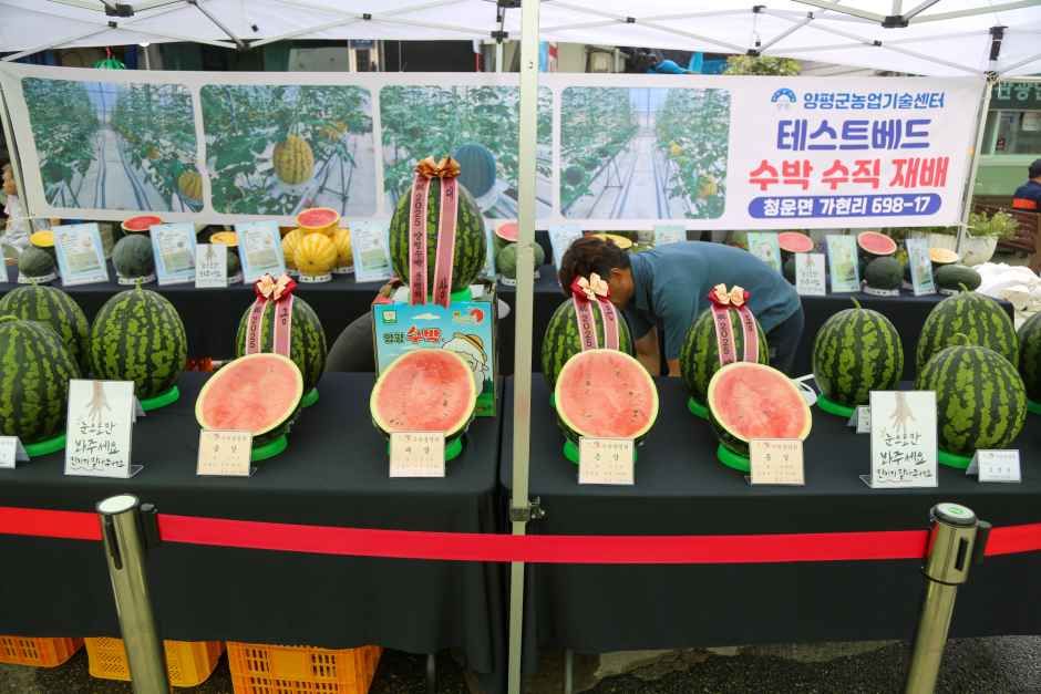 2026 양평수박축제 (6).jpg