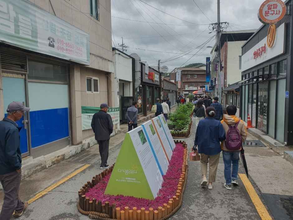 2026 영양 산나물 축제 (1).jpg