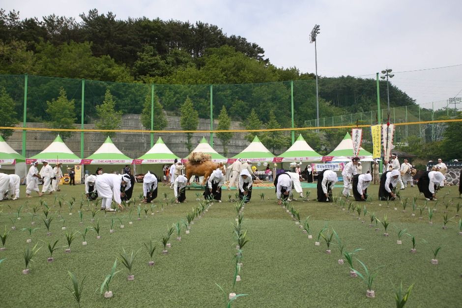 2025 양산웅상회야제 6