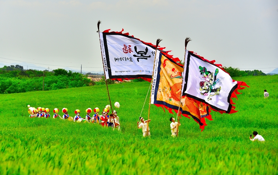 2024 고창청보리밭 축제 1