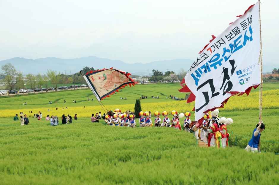 2026 고창청보리밭 축제 (1).JPG