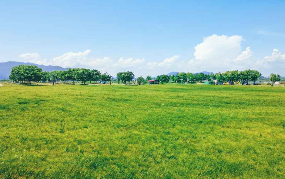 2026 칠서 청보리 작약 축제 (4).png