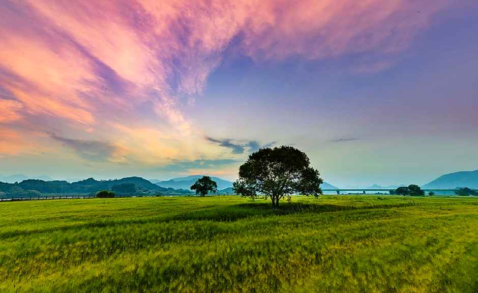 2026 칠서 청보리 작약 축제 (5).png