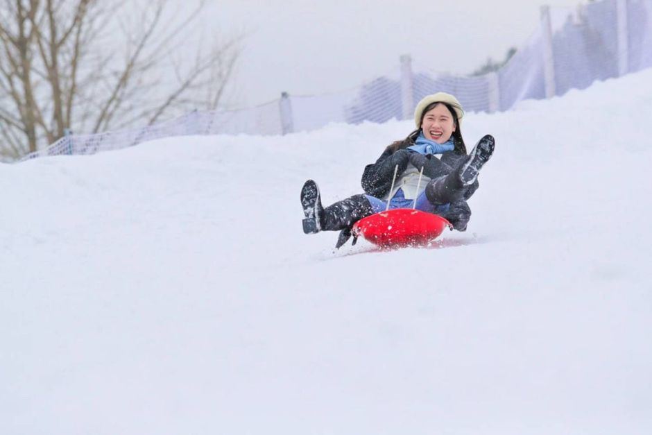 2024 Winter Wonder Nami Island 5