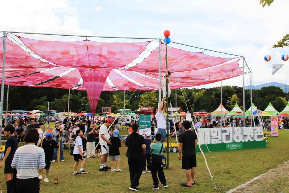 2026 함양산삼축제 (3).JPG