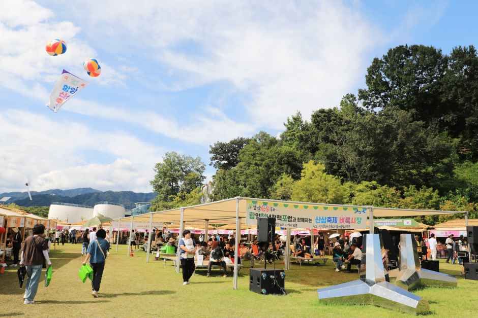 2026 함양산삼축제 (1).JPG