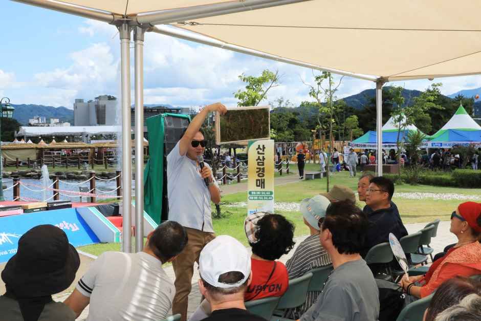 2026 함양산삼축제 (8).JPG