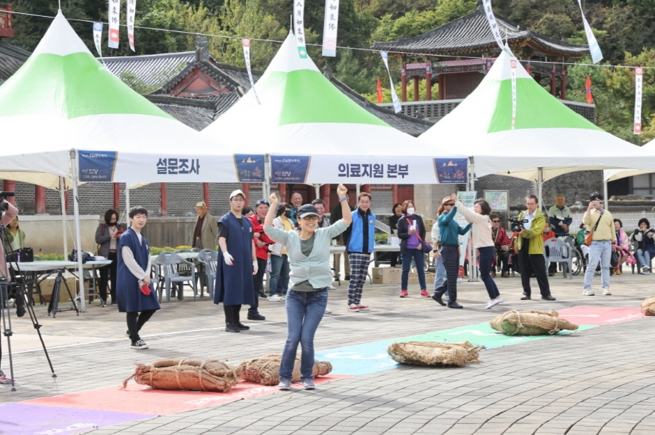 단양 온달문화축제 (4)