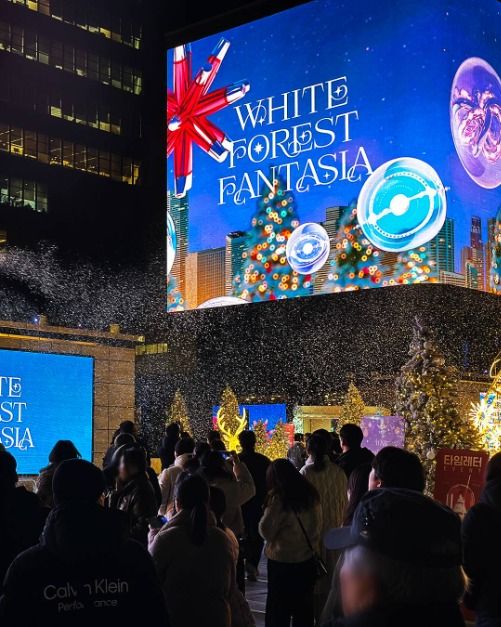 2025 강남 미디어 윈터페스타 2