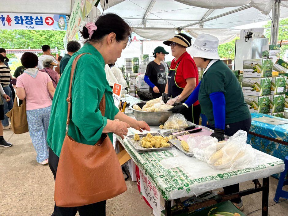 홍천 찰옥수수 축제 (4).jpg