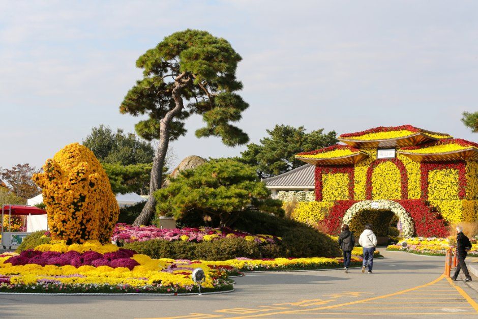 2026 월출산 국화축제 (6).jpg