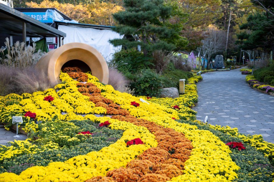 2026 월출산 국화축제 (2).jpg