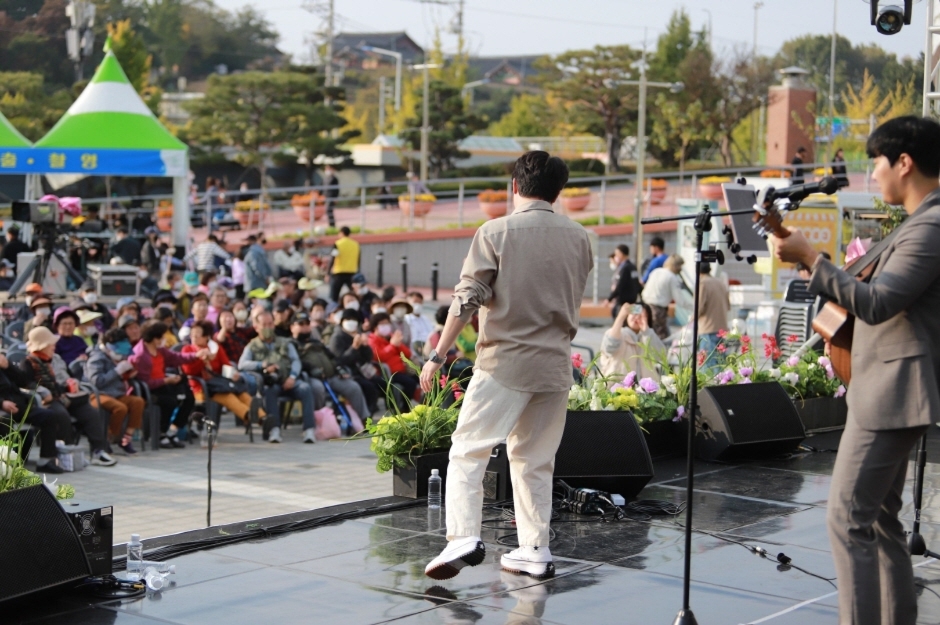 경산대추축제 & 농산물한마당 (3)