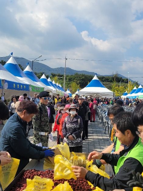 2025 경산 대추축제 & 농산물 한마당 3