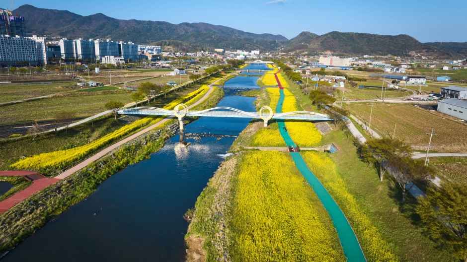 2026 화순 봄꽃 축제 (3).jpg