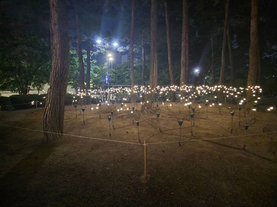 2025 만석거 새빛축제 3