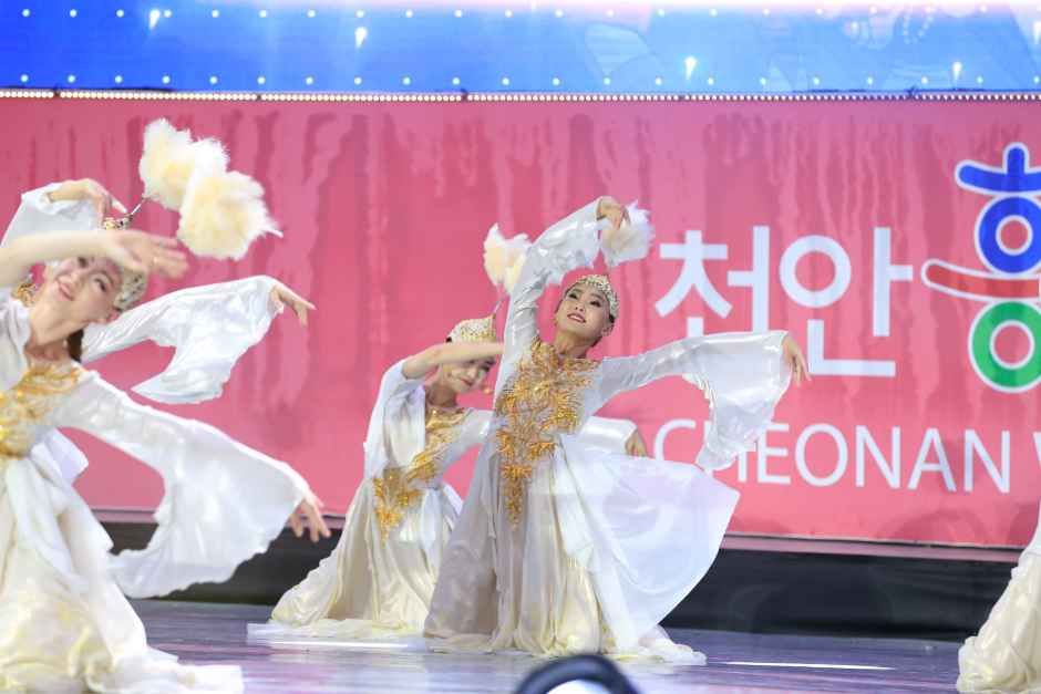 2026 천안흥타령춤축제 (6).JPG