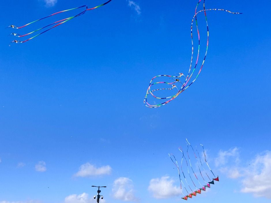 2025 세종시 정월대보름 맞이 행사 9