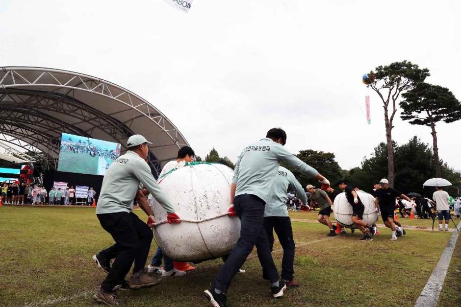 2024 장수 한우랑 사과랑 축제 1