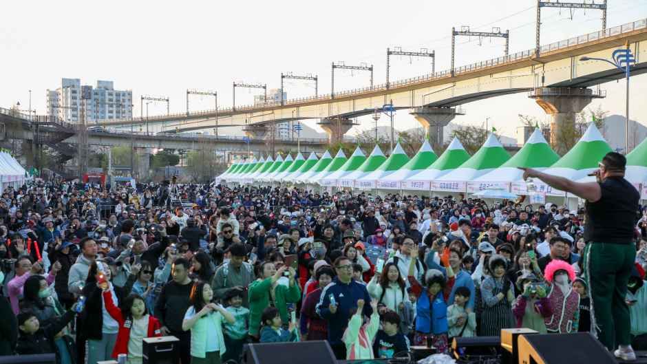 2026 강서 낙동강30리 벚꽃축제 (7).JPG