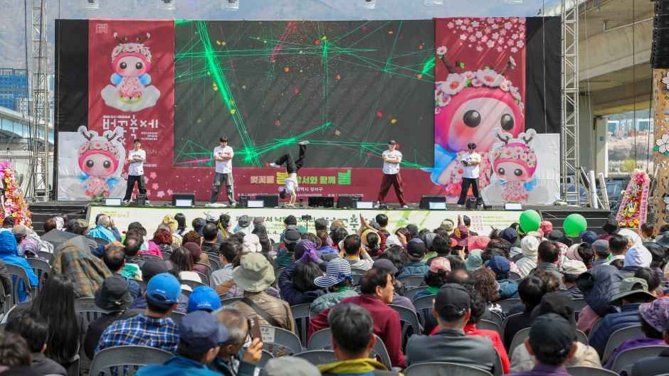 강서 낙동강30리 벚꽃축제 참고 이미지 4