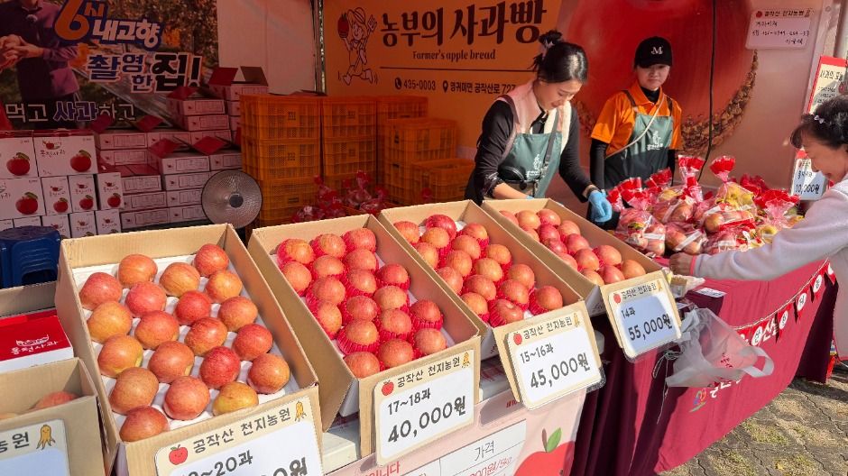 홍천 사과축제 포스터 · 강원 축제