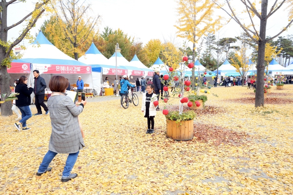 홍천사과축제 (4)