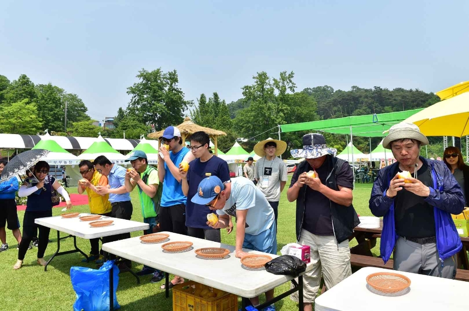 2024 여주금사참외축제 이미지 6