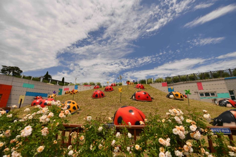 2025 곡성세계장미축제 15