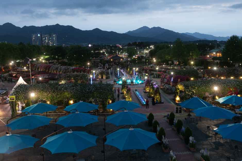 2026 곡성세계장미축제 (1).jpg