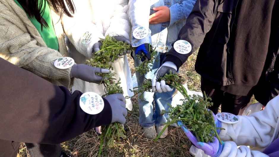 2026 한라산 청정 고사리축제 (2).jpg